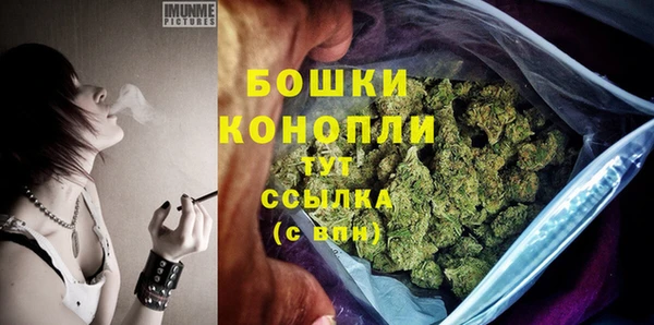 бошки Дмитриев