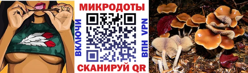 Псилоцибиновые грибы ЛСД даркнет какой сайт Кызыл где можно купить наркотик